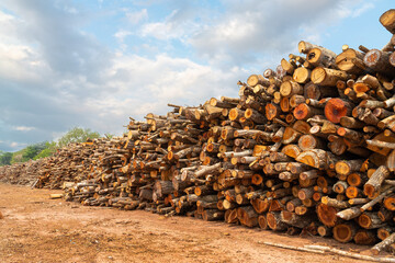 A pile of stacked firewood, prepared for heating the house, Firewood harvested for heating in winter, Chopped firewood on a stack, Firewood stacked and prepared for winter Pile of wood logs.