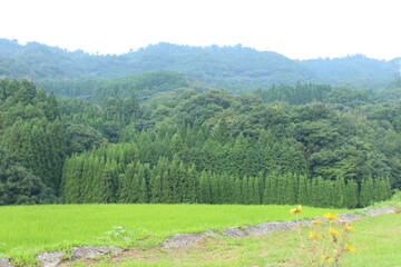 山とたんぼのある風景