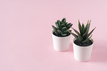 Two artificial green succulent flower with leaves in a pot on pink pastel background, copy space