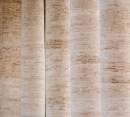 the columns of the vatican are tall of white stone very beautiful