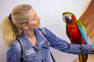 a girl holds a Macaw parrot on her hand and looks at him with a smile in a contact zoo, where you can touch animals and make a photo with them. Playful and affectionate bird  able to talk