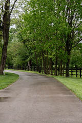 Driveway to Horse Farm