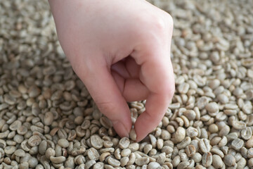 ハンドピッキング