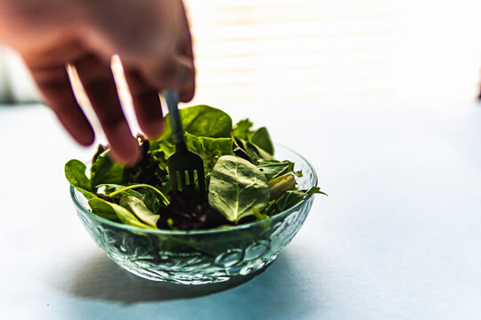person holding a bowl of salad