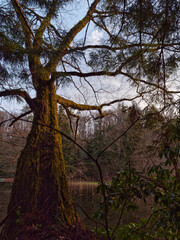 Akana Marsh is a wetland created by the rich spring water of granodiorite ground.