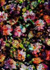 Fototapeta premium line art on abstract geometric shapes