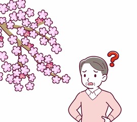 お花見をする人