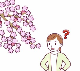 お花見をする人