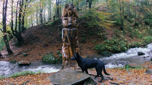 Wooden sculpture. National wooden sculpture. Carpathians. Ukraine.