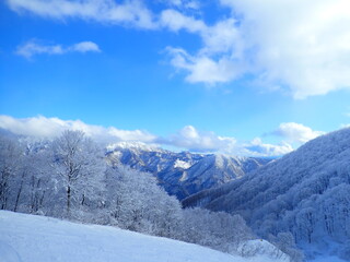 樹氷と山々の絶景