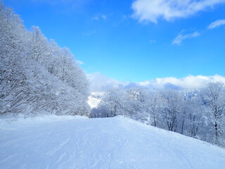 白一色のゲレンデ