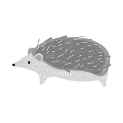 hedgehog hand drawn