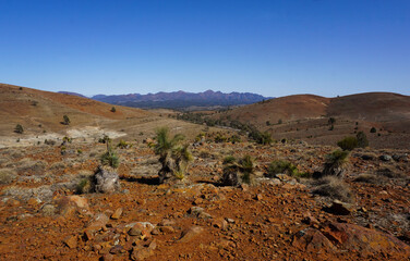 The dry arid landscape of the Australian outback. Flinders Rangers South Australia