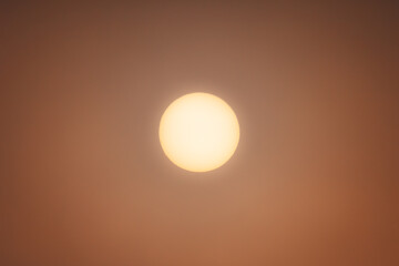 the bright March sun barely breaks through the dense fog on an early spring morning