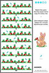 Visual logic puzzle: Match the pairs - find the exact mirrored copy for every row of carrots. Answer included.
