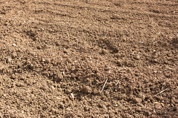 耕された畑の土