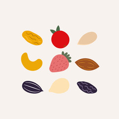 Dry fruit and mix nut set on white background. Vector illustration in flat cartoon design. Raisins, strawberry, cashew nut, almond, sunflower seed, watermelon seed, pumpkin seed. 
