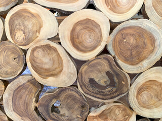 Furniture from Bali. Background of trees stump and saw for emotional feeling