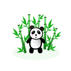 Fototapeta premium Panda's food is bamboo trees and pandas are in the middle of the bamboo forest.