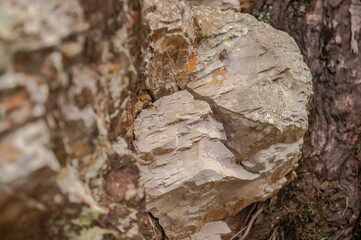 Rock pattern with beautiful colours and detail