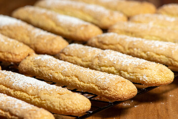 Homemade ladyfingers with icing sugar.