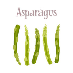 Fresh young asparagus stalks. Healthy nutrition product.