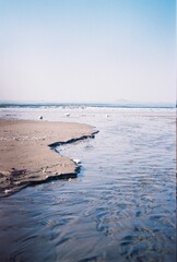 Fototapeta premium muds on the beach