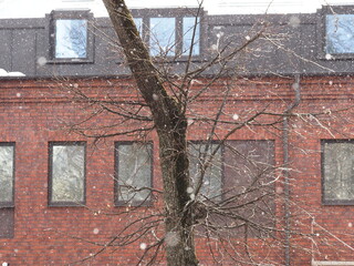 Fototapeta na wymiar snowfall in the city against the background of a brick house and trees