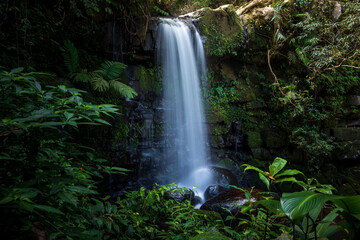 Obraz premium Waterfall in the forest or motion of water at brook of water fall. with tree leaf and stone rock. at Spun or Span Nan province, Thailand, Asia.