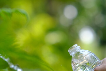 bottle of water in green natural background and space