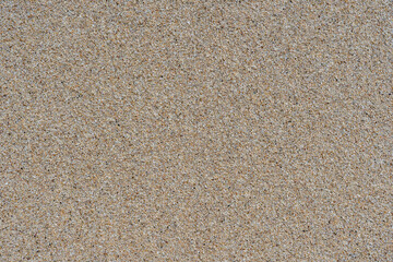 Sandy beach background. Detailed sand texture. Top view