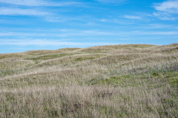 Hummock and Swale Topography in Tom McCall Nature Preserve near Mosier, Oregon. A result of hummocky and swaley cross-stratification forming small hills like moguls dotting a landscape.