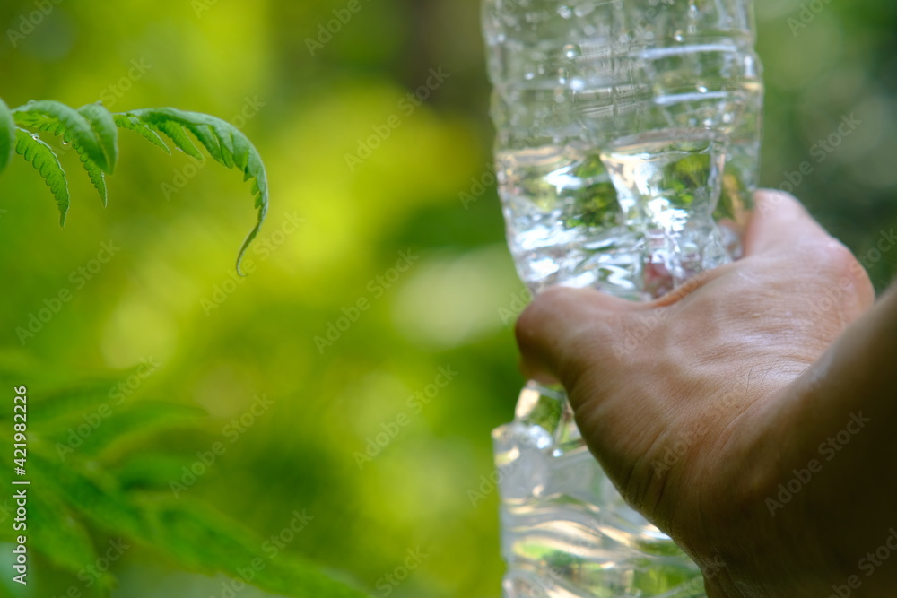 Canvas Prints Bottle of water in green natural background and space