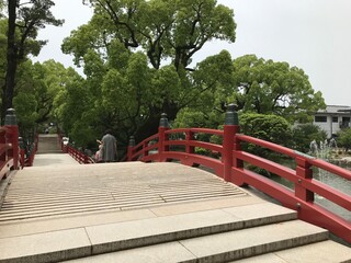 wooden bridge in the park