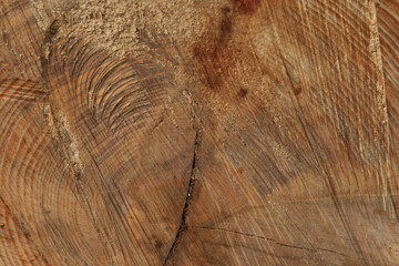 Holz Hintergrund