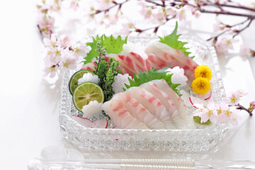 Sea bream sashimi on glass plate with beautiful cherry blossoms.真鯛　鯛　お造り　お刺身　桜の花