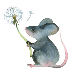 Watercolor illustration. Gray mouse with dandelion on white background.