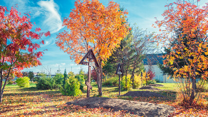 Trees in bright fall colors in the cemetery. Graves with wooden crosses on a sunny day.