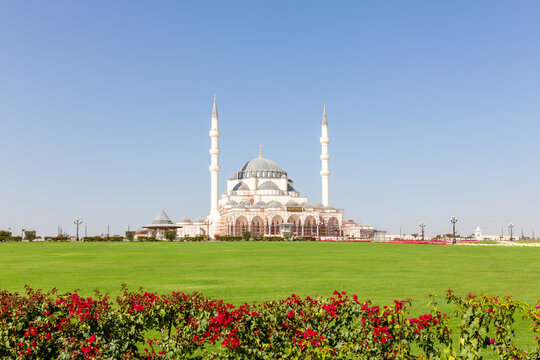 New Sharjah Mosque (Sharjah Masjid), the largest mosque in the Emirate of Sharjah, the United Arab Emirates, white sandstone facade with domes and minarets, green lawn and bugenwilla flowers around.