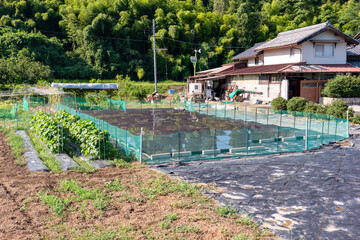 Fototapeta na wymiar Solar panels set in the field in rural area in Japan