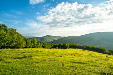 meadows cover with grass and trees on the background of the mountain range in the morning. Nature landscape.
