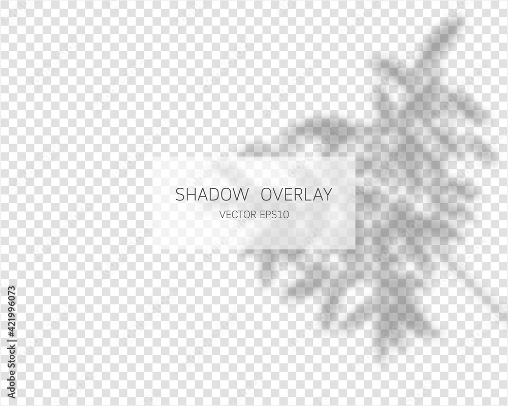 Poster shadow overlay effect. natural shadows isolated on transparent background. vector illustration.