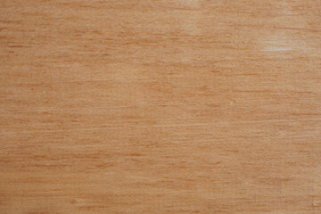 wood texture background with copy space for design or text. High quality for your work. concept of wallpaper or website. Top view natural materials