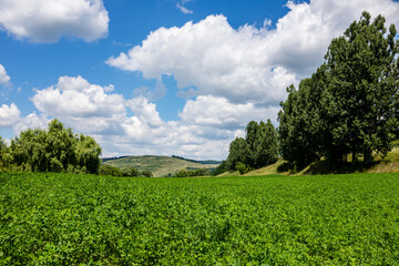 Farmland in Romania