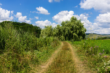 Farmland in Romania