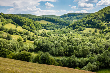 Fototapeta na wymiar Rural Transylvania