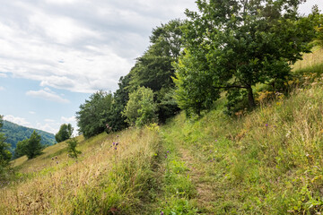 Fototapeta na wymiar Rural Transylvania