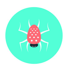 Halloween Spider Colored Vector Icon