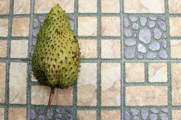 Light green soursop or sirsak, tropical exotic fruit