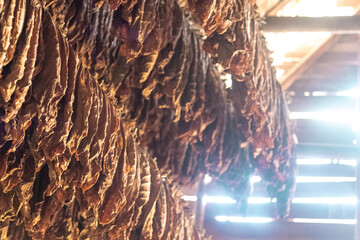 close up of a glass of water